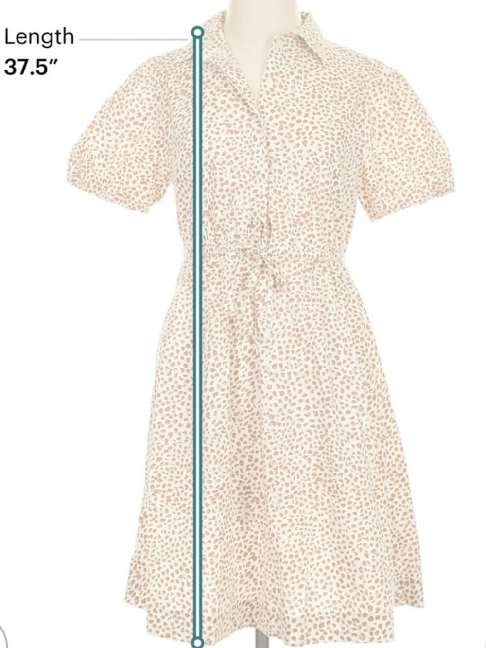 J. Crew Animal Print Shirtdress - Picture 7 of 10